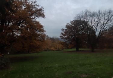 Tocht Stappen Luik - autour de l institut botanique  - Photo
