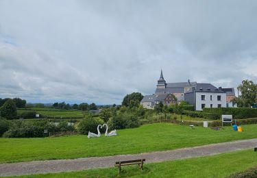 Trail Walking Thimister-Clermont - A la dÃ©couverte de Clermont avec Koda ð - Photo