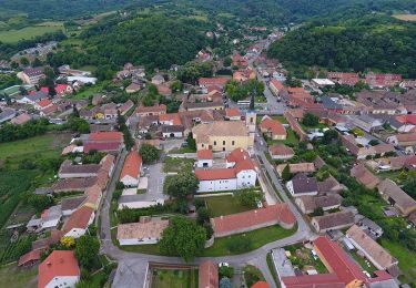 Percorso A piedi Hosszúhetény - Z▲ Szászvár – Kantár-hegy – Somlyó – Dobogó – Cigány-hegy – Kisújbánya - Photo