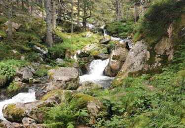 Trail Walking Arrens-Marsous - refuge larribet par lac suyen - Photo