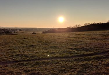 Trail Mountain bike Rambervillers - sortie vtt du 17112018 rambervillers  - Photo