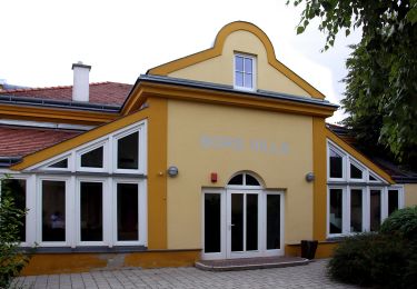 Tour Zu Fuß Gemeinde Pöttsching - Pöttsching - GH zur Grenze - Neudörfl Bhf - Photo