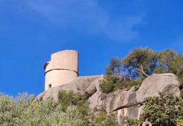 Excursión Senderismo Le Revest-les-Eaux - Le tour du mt Caume - Photo