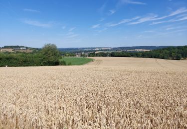 Tour Wandern Floreffe - FLOREFFE _ Marche Adeps  _ NA _ 24/07/2023PP - Photo