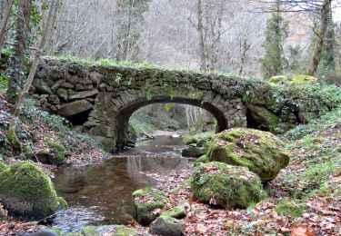 Trail Walking Égliseneuve-près-Billom - Egliseneuve_Madet - Photo