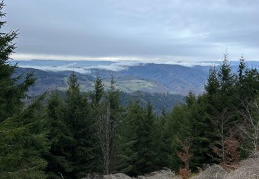 Trail sport Lapoutroie - Le bonhomme col du brezouard - Photo