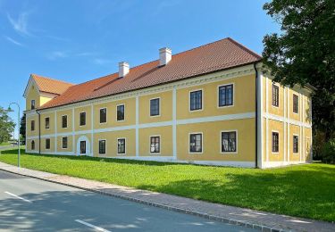 Tocht Te voet Bad Tatzmannsdorf - Wechselblick - Photo