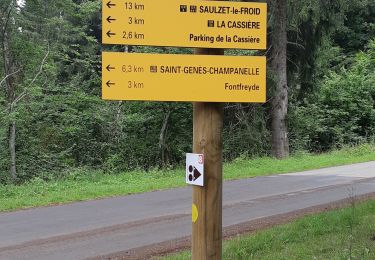 Trail Walking Saint-Genès-Champanelle - PUYS DE LASSOLAS ET DE LA VACHE - Photo
