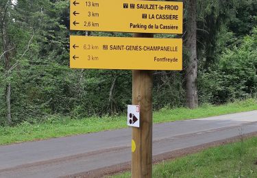 Tour Wandern Saint-Genès-Champanelle - PUYS DE LASSOLAS ET DE LA VACHE - Photo