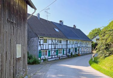 Randonnée A pied Wermelskirchen - Dhünn Rundweg A2 - Photo