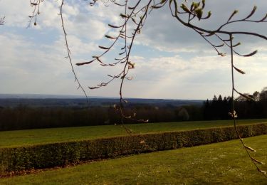 Tour Wandern Havelange - Barvaux Moressée Ramezée  - Photo