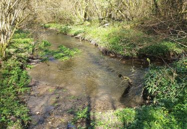 Tour Wandern Callac - un tam tro Kallag 22 - Photo