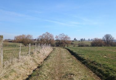 Tour Wandern Dehlingen - Circuit Dehlingen Rahling - Photo