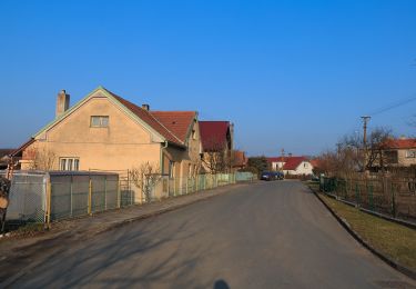 Randonnée A pied Břehy - [Ž] Černý Nadýmač - okruh - Photo