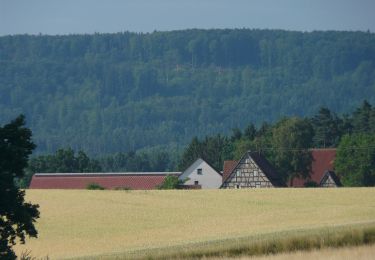 Percorso A piedi Henfenfeld - Rundweg Henfenfeld – Klosterberg - Photo