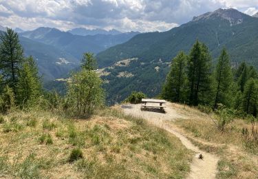 Trail Walking Arvieux - Lac de Roue variante  - Photo
