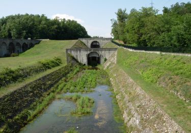 Percorso A piedi Vizzola Ticino - Ansa di Castelnovate - Photo