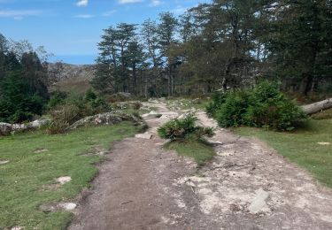 Tocht Stappen Urrugne - La Rhune en boucle - Photo