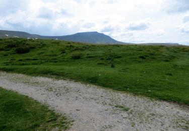 Tour Zu Fuß Craven - Limestone Walk - Photo