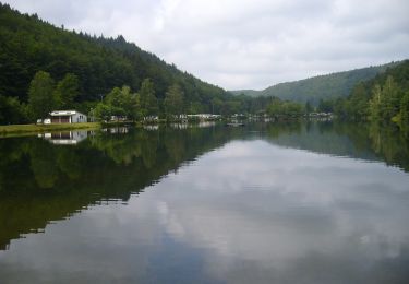 Randonnée A pied Clausen - Wandern in Clausen C12 - Photo