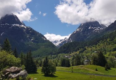 Tour Wandern Vallorcine - Les Buets à Callorcibe - Photo