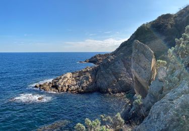 Tour Wandern Ramatuelle - Tour du phare Camarat  - Photo