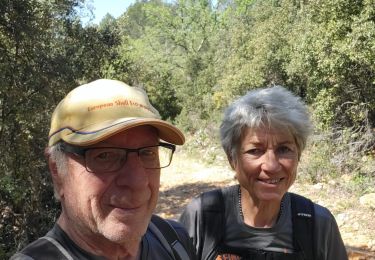Trail Walking Figanières - Boucle Figanieres  - Photo