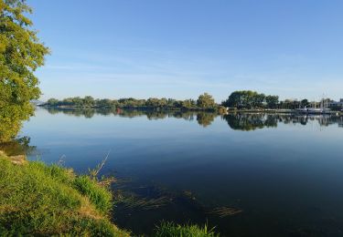 Randonnée Vélo de route Saulny - la maxe - Photo