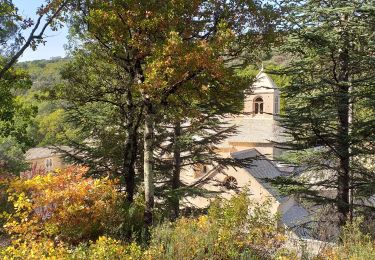 Tour Wandern Gordes - senancole - Photo