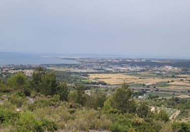 Excursión Senderismo Rognac - Rognac reco - Photo