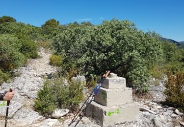 Tocht Stappen Saint-Saturnin-lès-Apt - falaise de Lioux - Photo