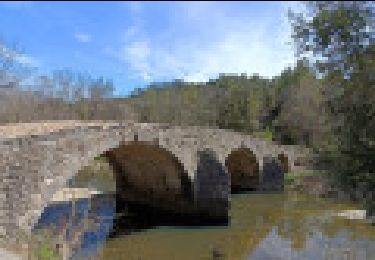 Tocht Stappen Corconne - Les vignobles de Corconne et le Pont des Cammaous - Photo