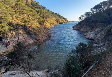 Trail Walking Tossa de Mar - Wikiloc - Tossa de Mar - Camins de Ronda Nord i Sud, corriols d'en Joan 'pescador' 2024-01-20 8:58 - Photo