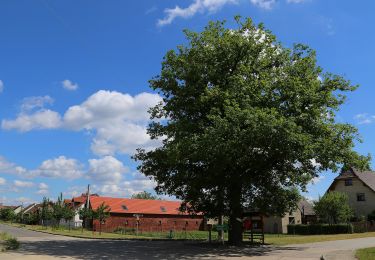 Percorso A piedi Byhleguhre-Byhlen - Wanderweg Byhlen-Byhleguhre - Photo