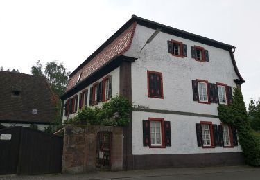 Randonnée A pied  - Wanderweg Hohenecken 4 - Photo