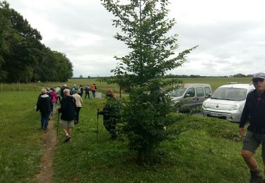 Randonnée Marche Montardon - MONTARDON RS Autour du Luy    3255249 - Photo