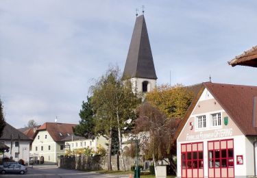 Tocht Te voet Oftering - Wanderweg Aichberg - Photo