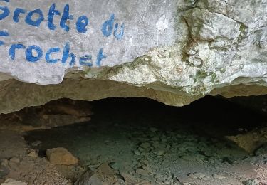 Trail Walking Saint-Laurent-en-Royans - cascades et grotte de frochet  montagne d'Echarasson - Photo