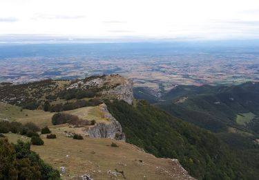 Tour Wandern Léoncel - La Pierre Chauve - Photo
