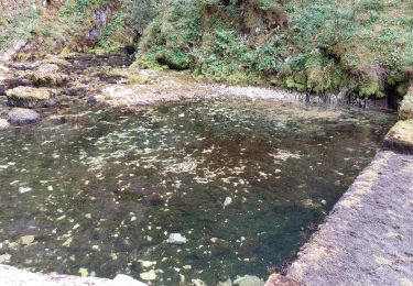 Randonnée Marche Mouthe - SOURCE DU DOUBS - Photo
