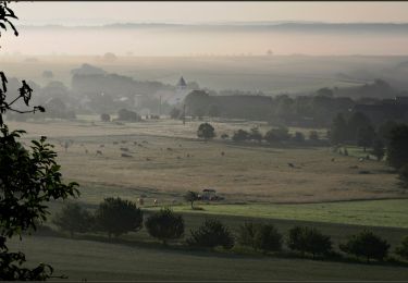 Tocht Te voet Gersheim - Medelsheim Kreuz-Rundwanderweg - Photo