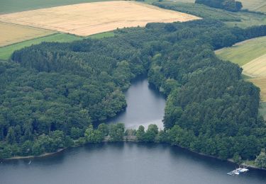 Percorso A piedi Möhnesee - Torhaus Rundweg A5 - Photo