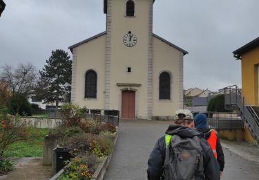 Percorso Marcia Xeuilley - Audax Xeuilley - Photo