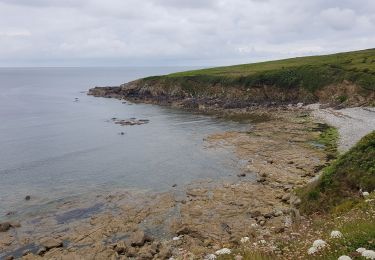 Randonnée Marche Plogoff - 2019 06 12 Loc'h Baie des Trépassés par Pointe du Raz - Photo