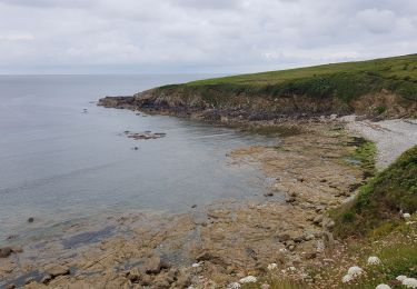 Excursión Senderismo Plogoff - 2019 06 12 Loc'h Baie des Trépassés par Pointe du Raz - Photo