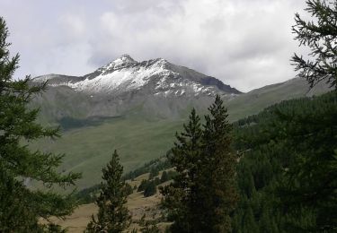 Excursión Senderismo Abriès-Ristolas - Queyras jour 15 - Photo