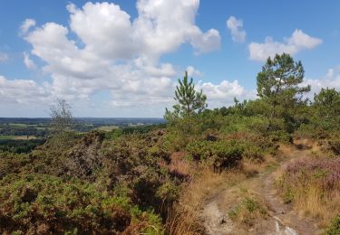 Tocht Stappen Saint-Jean-Brévelay - PR_56_St-Jean-Brevelay_AA_01_Carado_Circuit1b_20190901 - Photo