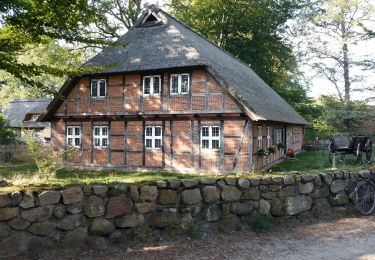 Tour Zu Fuß Bispingen - Rundwanderweg Wilsede W2 - Photo