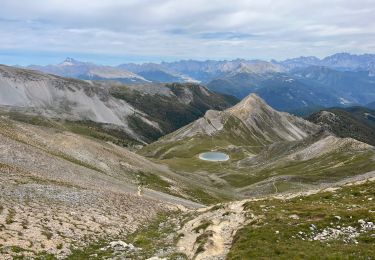 Trail Walking Arvieux - Lac de Souliers - Col  - Photo