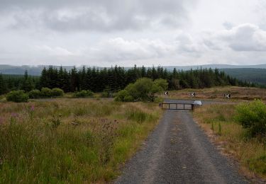 Percorso A piedi  - Dungonnell Way - Photo